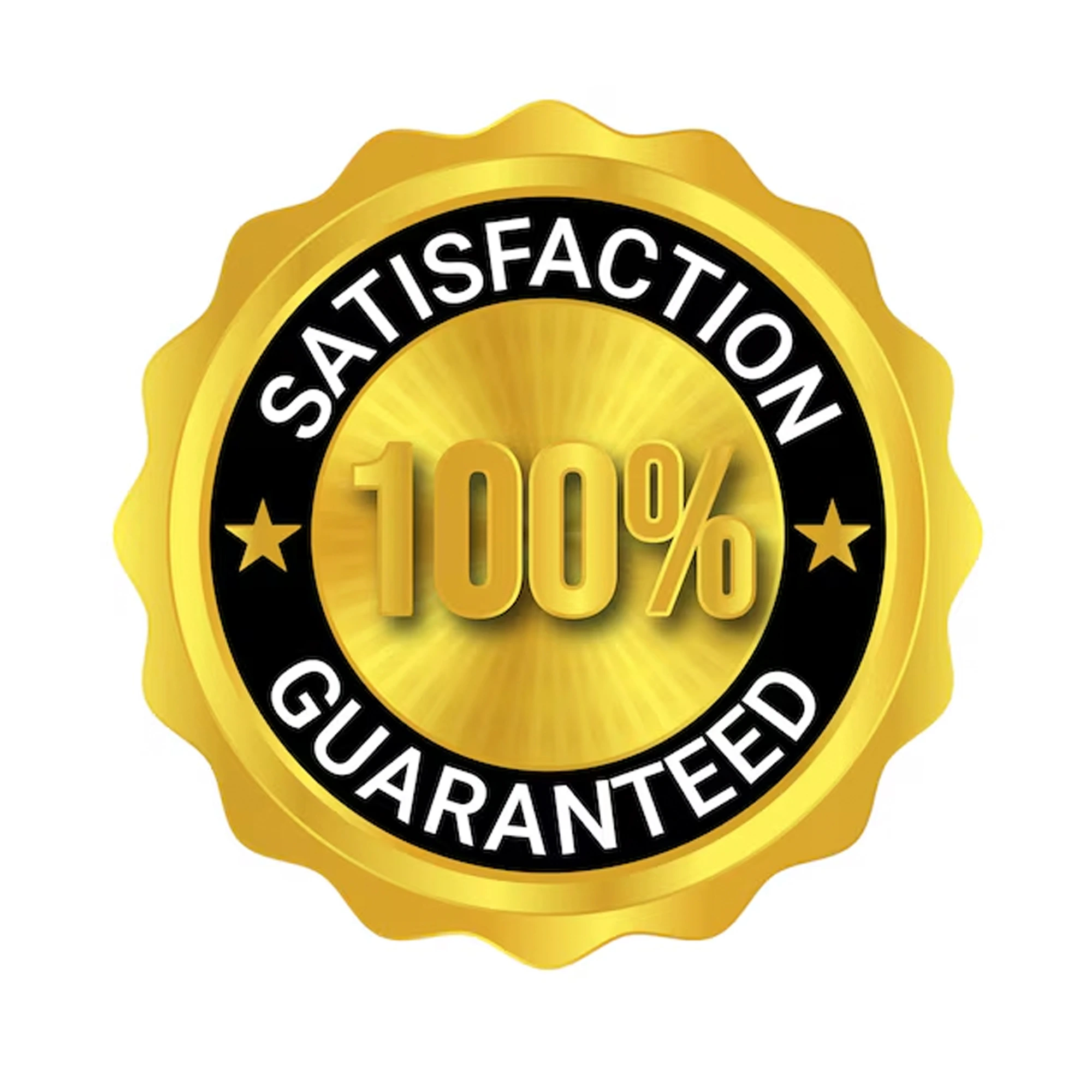 Garantia del servicio 100